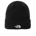 The North Face Norm
