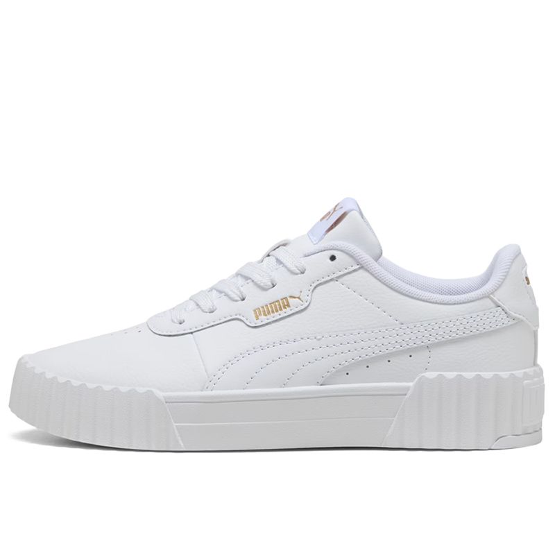 Puma Carina 3.0