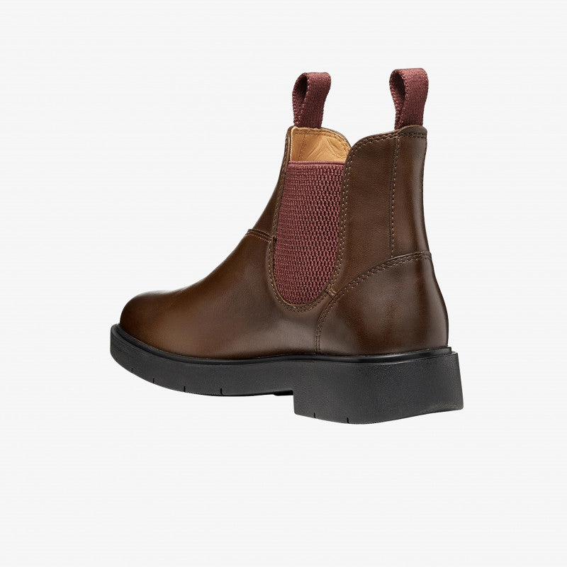 Geox Spherica Ec1 Dark Brown