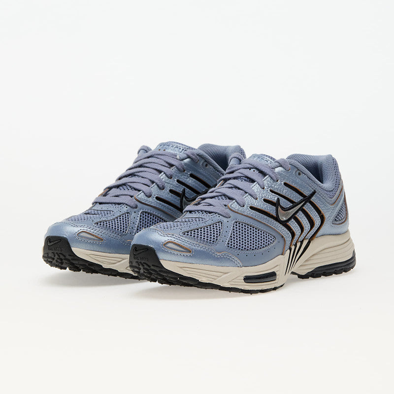 Nike Wmns Air Pegasus 2005 C.O.R Ashen Slate/ Chrome-Lt Orewood Brn