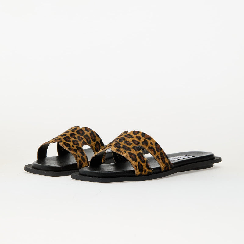 Steve Madden Sofia-L Leopard